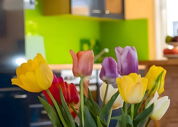 Bodensee Casa vacanze Radolfzell am Bodensee